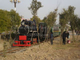 Rai Train for Forest