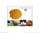 Corn Gluten Meal Feed Grade Protein