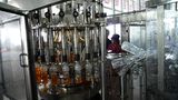 Beverage/Tea/Juice/Milk/Fruit Juice/Liquid Filling Machine (RXGF)