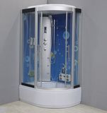 Computerized Shower Room (SLD-8842)
