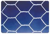 Hexagonal Wire Mesh/Chicken Mesh