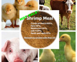 Shrimp Meal (protein 60%min) for Animal Feed
