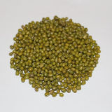 China Organic Dried Green Mung Bean