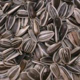Sunflower Seeds with Good Price for Whoesale