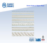 Seven Kinds of Nylon Rope with ISO 9001 Approved