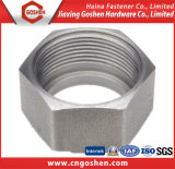 Stainless Steel Special Customized Hex Nut