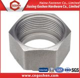 Stainless Steel Special Customized Hex Nut