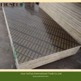 18mm Cheaper Film Faced Plywood for Middle East Market