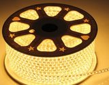 110V 220V 120LED SMD3528 Flex LED Strip Light