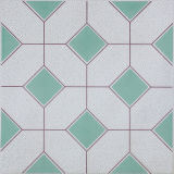 Glazed Ceramic Floor Tiles (3037)