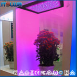 1200W High Lumen Best LED Plant Grow Red Blue Light Lights for Flower Growing