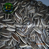 2014 New Crop High Quality Sunflower Seeds 5009 in 24/64