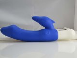 Remote Vibrator Sex Toys for Woman