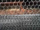 Chicken Wire Mesh