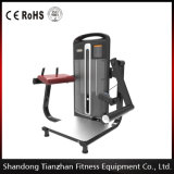 Commercial Fitness Equipment Machine / Glute Extension