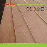 18mm Plywood/ Melamine Plywood with Good Price