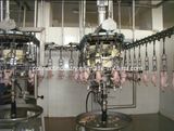 Poultry Processing Equipment