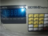 XK3190_D2+ Indicator