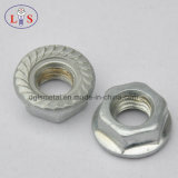 Flange Nut (White zinc plated) with High Quality