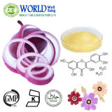 Organic Onion Extract/Sophora Japonica Extract Quercetin 98%