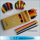 Novelty Nature Wooden Pencil with Eraser Made in China