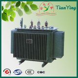 Distribution Transformer, 10-230kv Electrical Transformer, 10kv Power Transformer