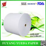 Single Side PE Coated Paper