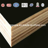 12mmx1220X2440 Brown Film Hardwood Core Film Faced Plywood