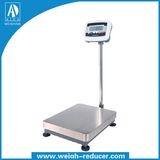 Electronic Bench Scale