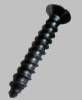 Stainless Screw