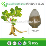 100% Pure Kudzu Root Extract Powder Puerarin 99%