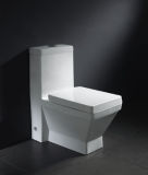 Toilet Product (Z2060368)