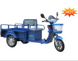 New Model Elder Electric Cargo Tricycle (DCQ100-04F)