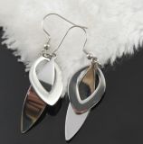 S. Steel Earrings, S. Steel Jewelry, Fashion Jewelry (E2347)
