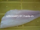 Frozen Greenland Halibut Fillet