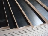 Good Quality Film Faced Plywood for Construction