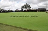 Fake Grass 