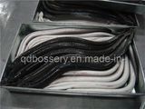 Frozen European Eel Fish