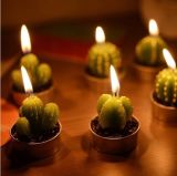 Min Cactus Candles for Birthday Wedding Decoration