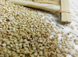 Chinese Natural White Sesame Seeds