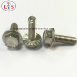 Stainless Steel 304 Bolt/Hexagon Head Bolt with Collar/Hex Bolt with Flange