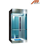 Comfortble and Effective Residential Elevator