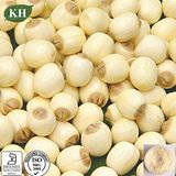 Children Food Lotus Seed Extract, Semen Nelumbinis, Lotus Seed P. E.