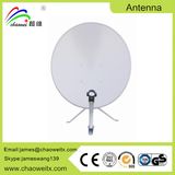 OEM Amplified Mast Whip Car Auto Vehicle Aerial Antenna