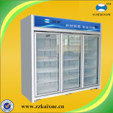 Upright Showcase Glass Door Refrigerator for Frozen Food