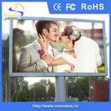 P10 Outdoor LED Display Screen/LED Video Display for Advertising