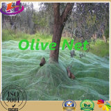 Warp Knitted Olive Harvest Net with Best Price for Fruits