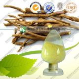Natural Baicalin / Scutellaria Lateriflora Extract / Baical Skullcap Root Extract Powder 10% -98%