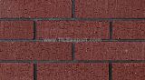 Decorative Clay Wall Bricks (WR637)