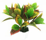Indoor/ Outdoor Gold Artificial Ficus Tree Ficus Bonsai 566
